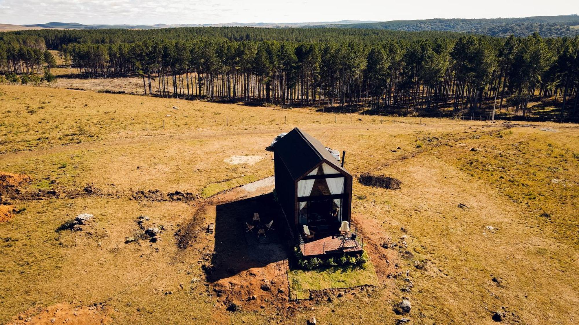 Nordic Cambará